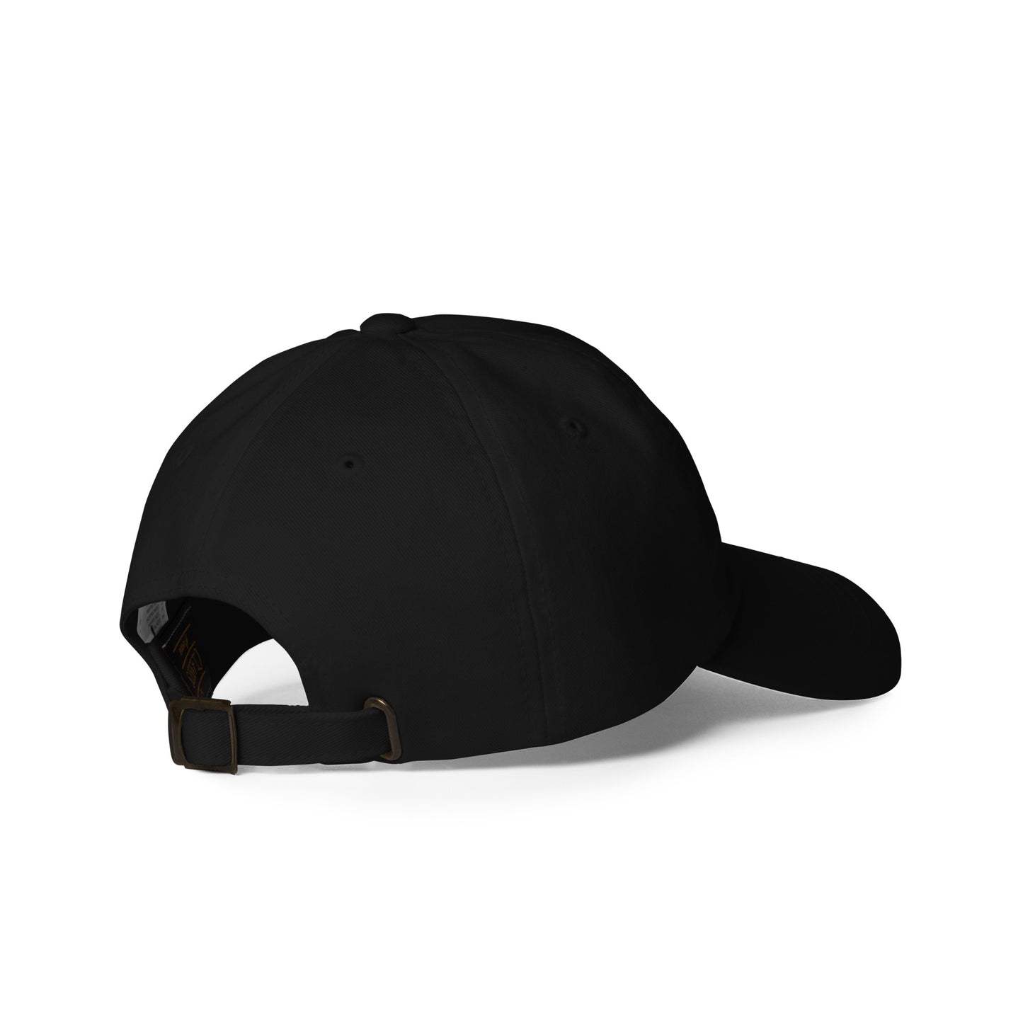 Proverbs Thirty-One Kind of Woman Hat